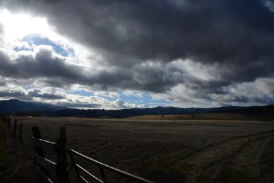 DSC_2880 (Large).JPG